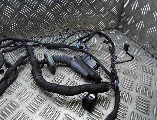 BMW 5 Series F10/F11 (2009-2017) Främre höger dörrkablar 9291048,9312733 32066257