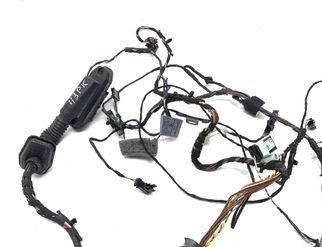 BMW X5 E70 (2006-2013) Vänster främre dörrkablar 9147281,9169242,9118167,1670537,9229772,7184659 23046192