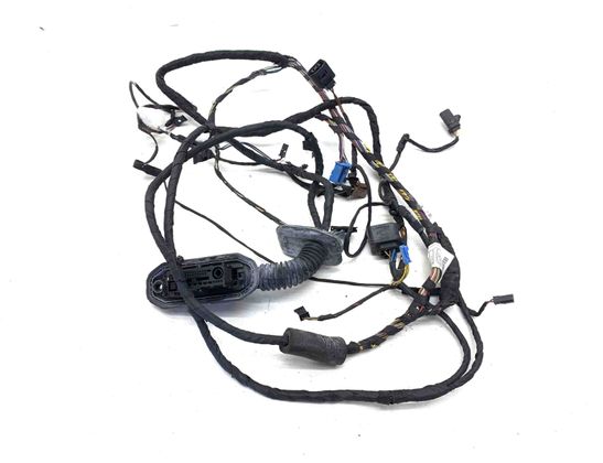 BMW 7 Series F01/F02 (2008-2015) Kablar till höger bakdörr 9147281,9147281-01,9262894 24852154