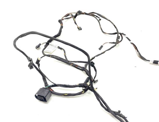 BMW 5 Series F10/F11 (2009-2017) Kablar för vänster bakdörr 9256017,9256016 30389062