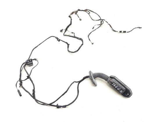 BMW 5 Series F10/F11 (2009-2017) Kablar för vänster bakdörr 9256017,9256016 30389062