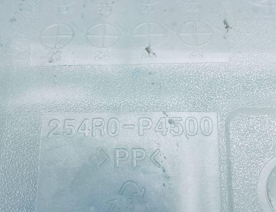 HYUNDAI Tucson 4 generation (2020-2023) Expansionskärl 254R0P4500 32980375