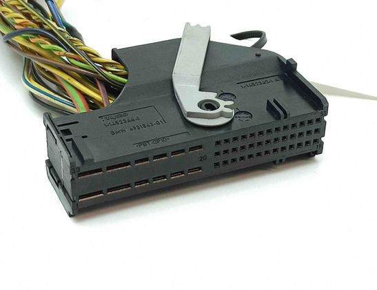 BMW X1 E84 (2009-2015) Kabelhärva 6931863 30216229