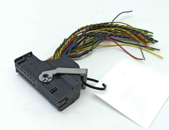 BMW X1 E84 (2009-2015) Kabelhärva 6931863 30216229