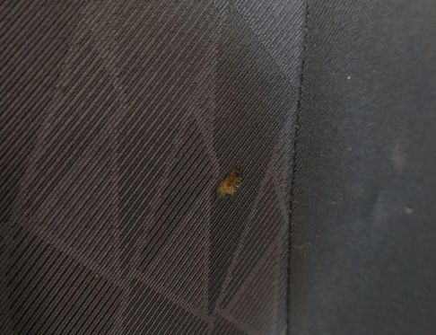 CITROËN C-Elysee 2 generation (2012-2017) Invändiga säten med dörrkortssats 32881405